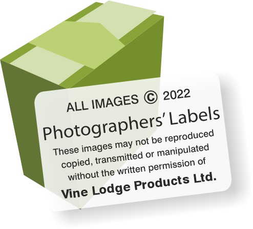 Photographer Copyright Labels - low cost and fast delivery